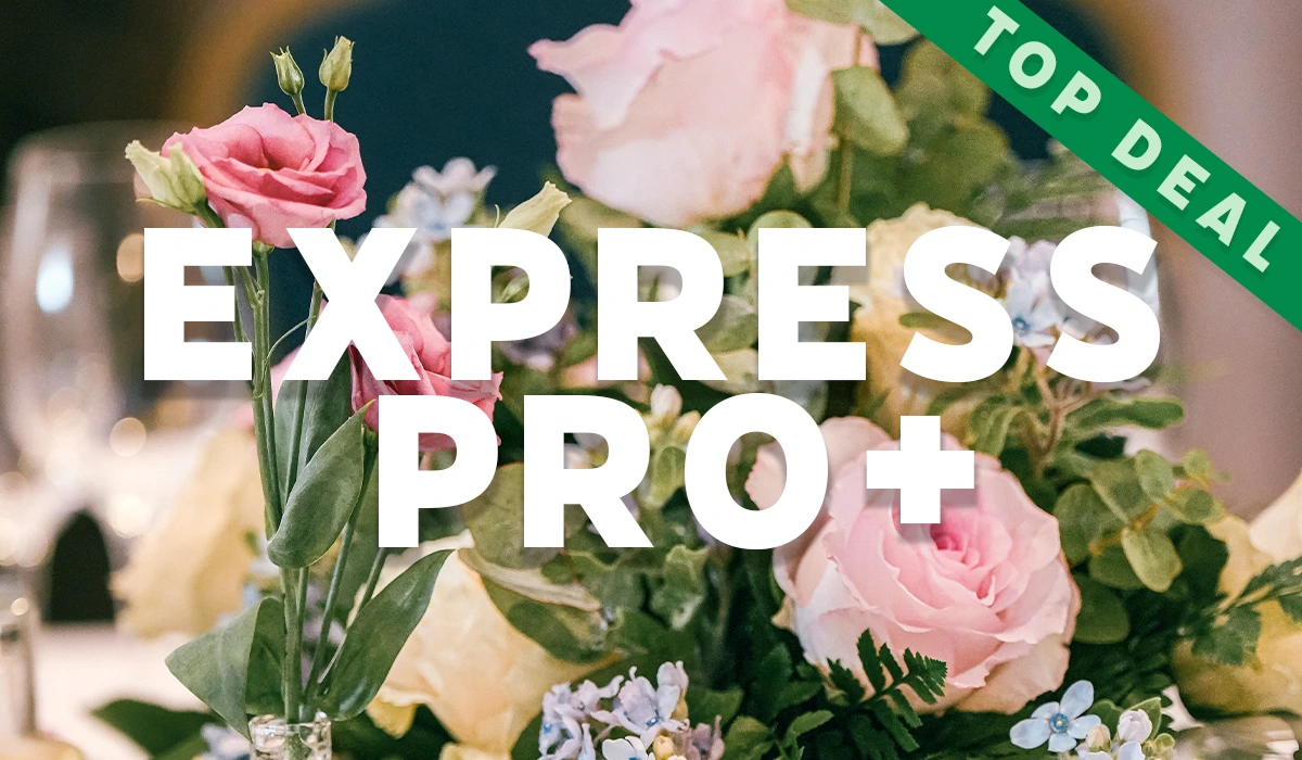 banner des express pro+ paket für hochzeitsfilm und hochzeitsreportage